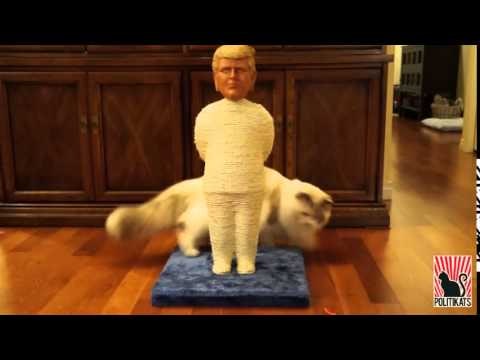 Donald Trump cat scratching post - Politikats gallery image