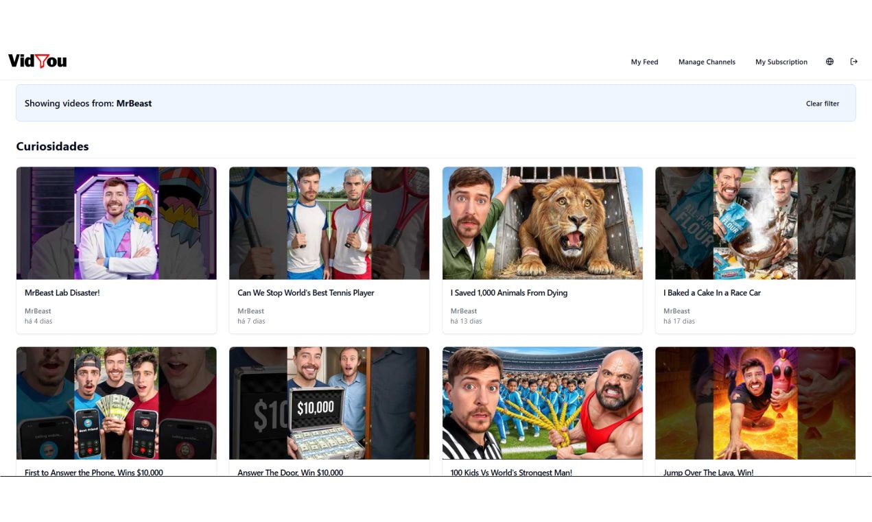 VidYou gallery image