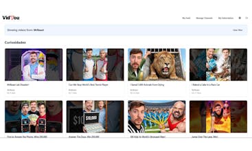 VidYou gallery image