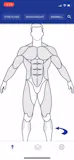MuscleWiki App