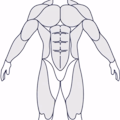 MuscleWiki App