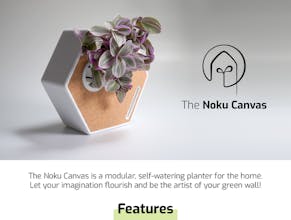 The Noku Canvas gallery image
