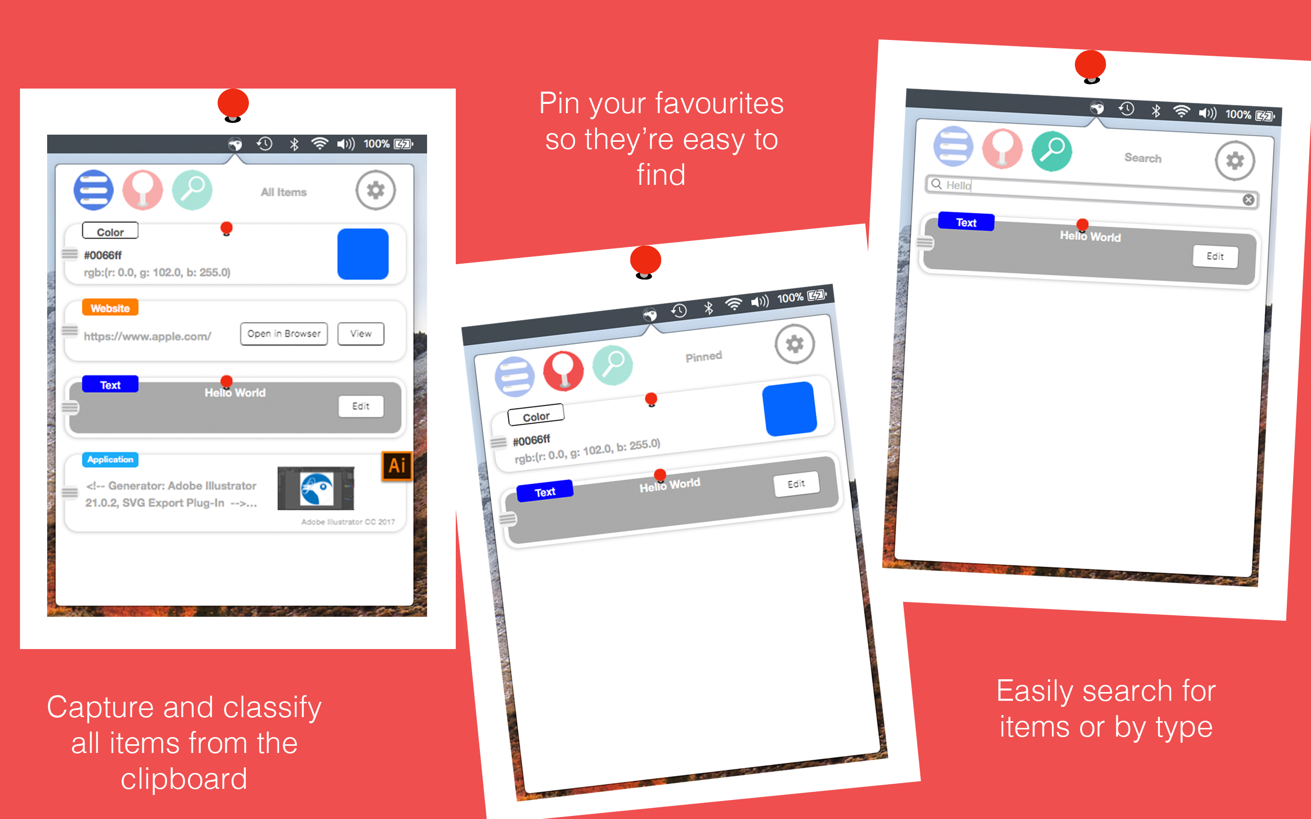 Bowerbird gallery image