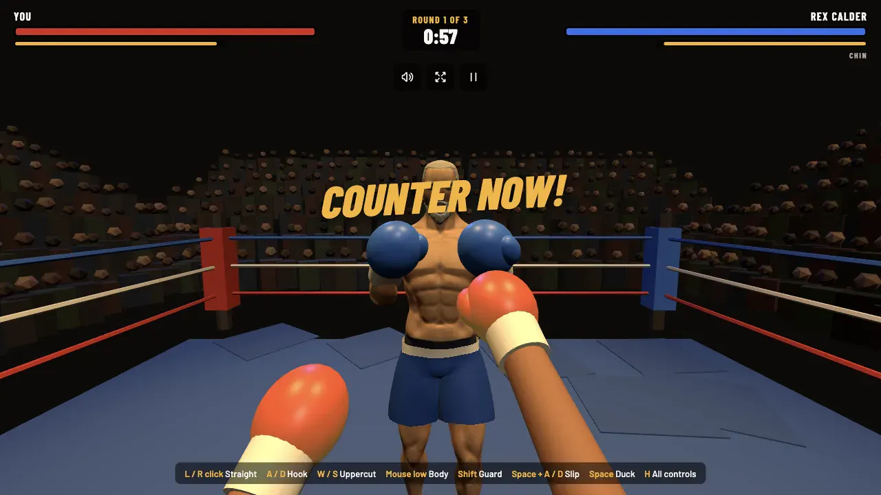 First Person Boxing gallery image