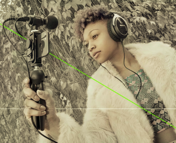 Shure KSE1500 gallery image