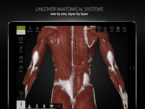 Anatomyka gallery image