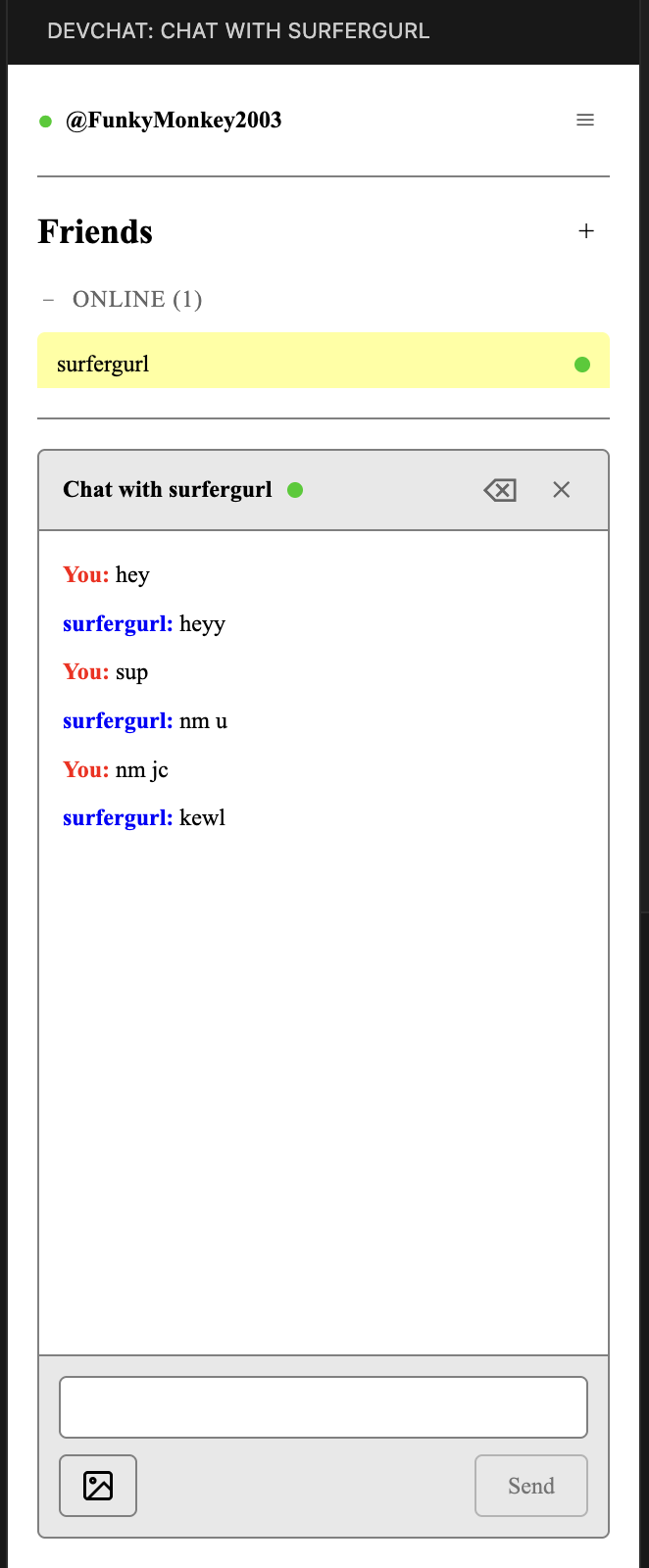 devchat gallery image