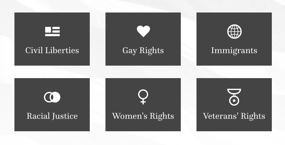 Vocal Minority gallery image