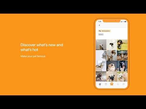 Pet Wall gallery image