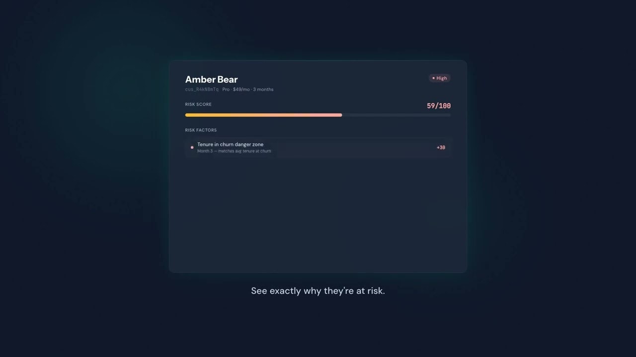 ChurnHalt: churn intelligence for Stripe gallery image