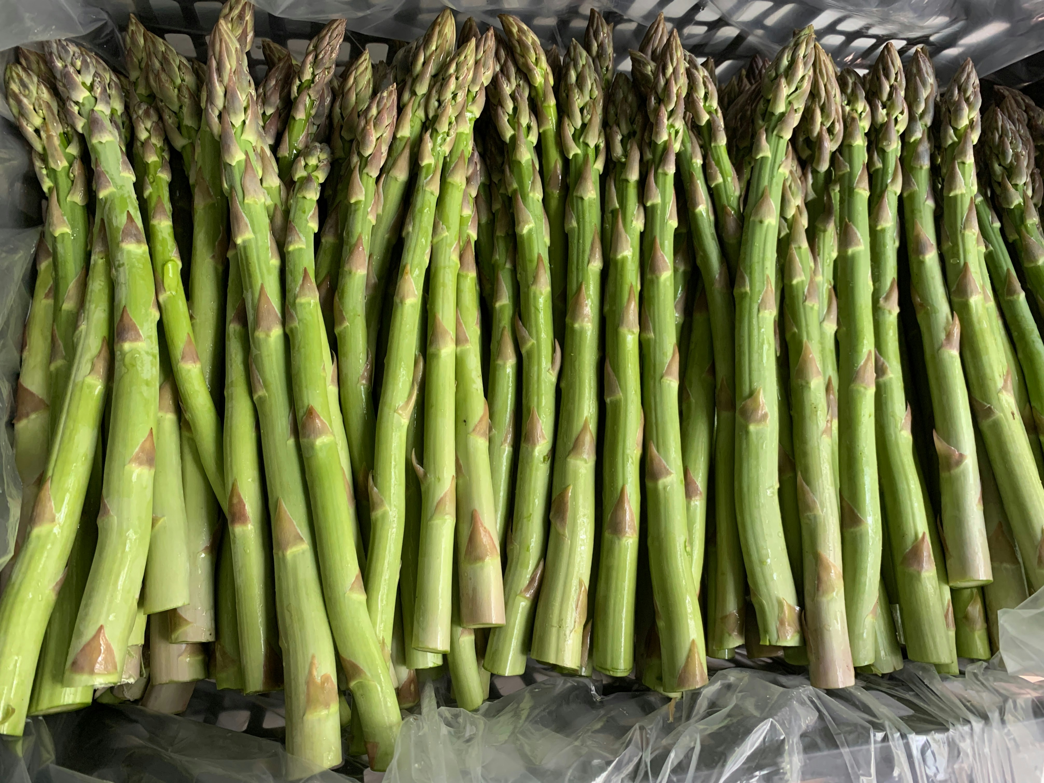 Poll option Asparagus laid out image