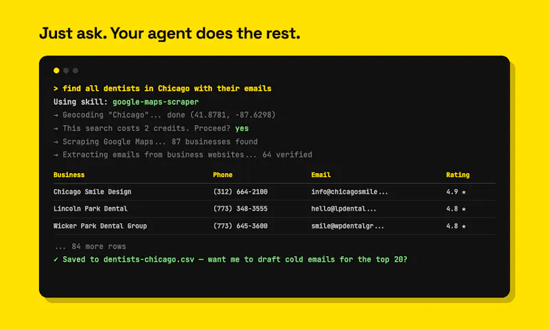 Google Maps Agent Skills screenshot 2