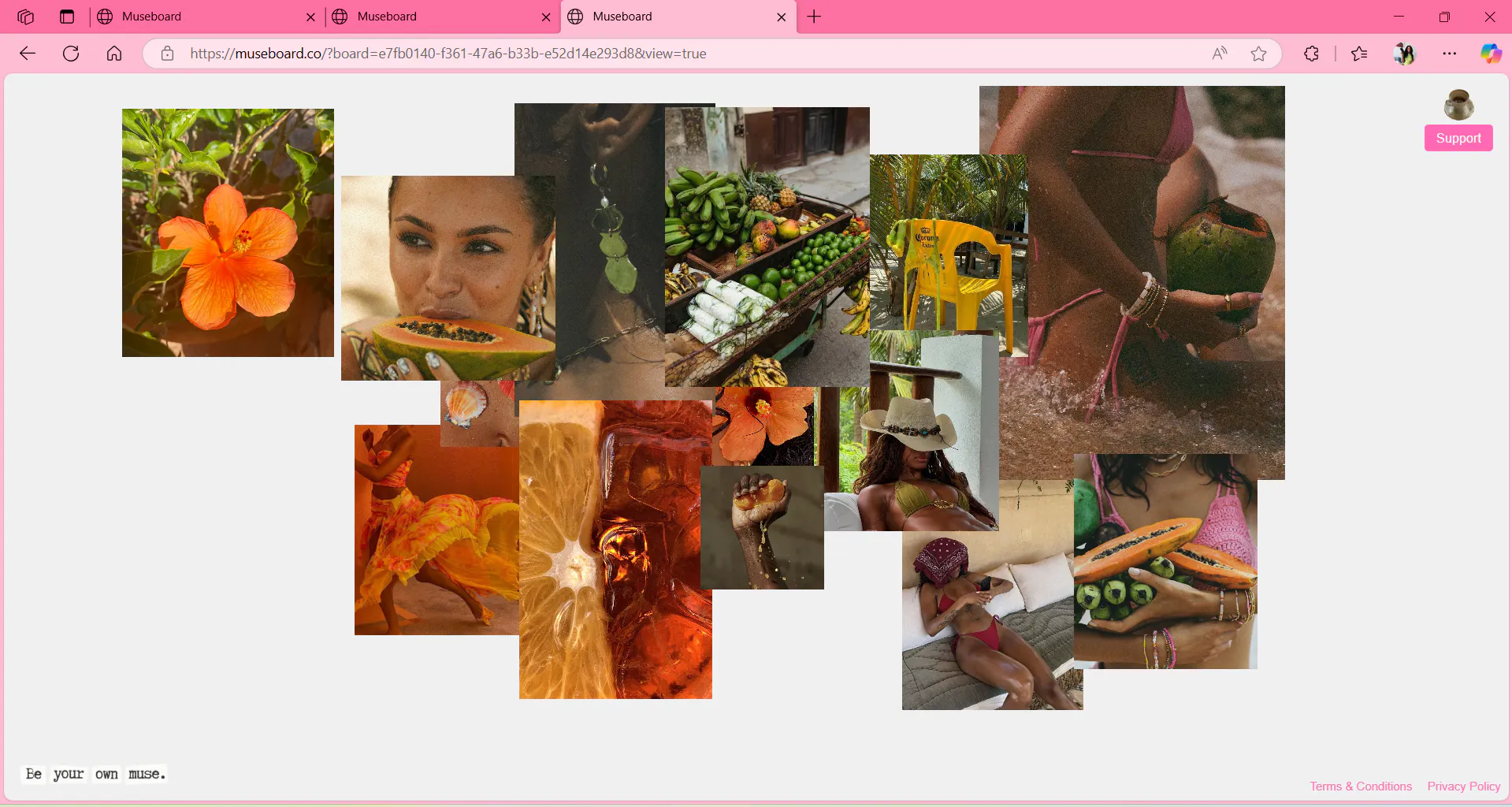 Museboard gallery image