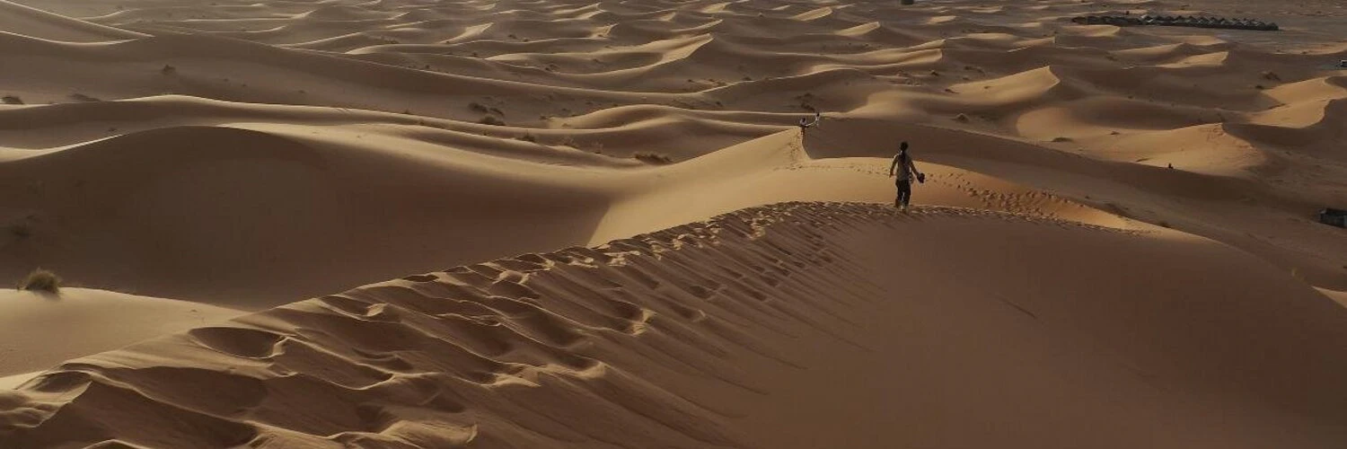 Shaherose Charania cover