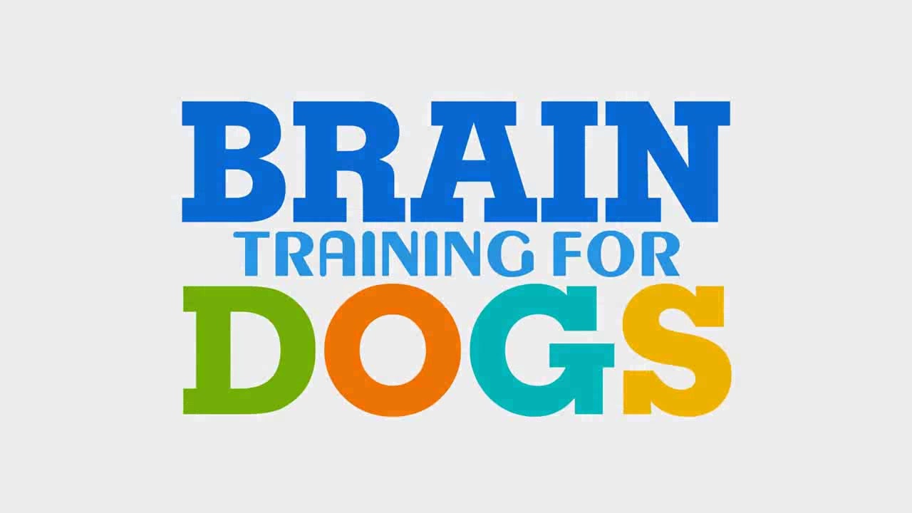 Brain Training For Dogs Reviews