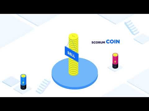 Scorum.com gallery image