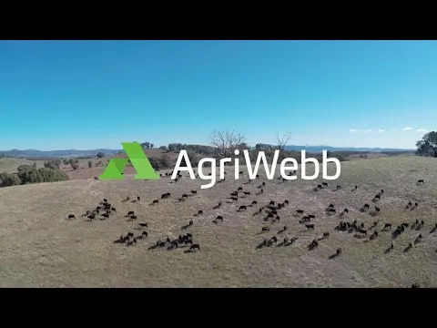AgriWebb gallery image