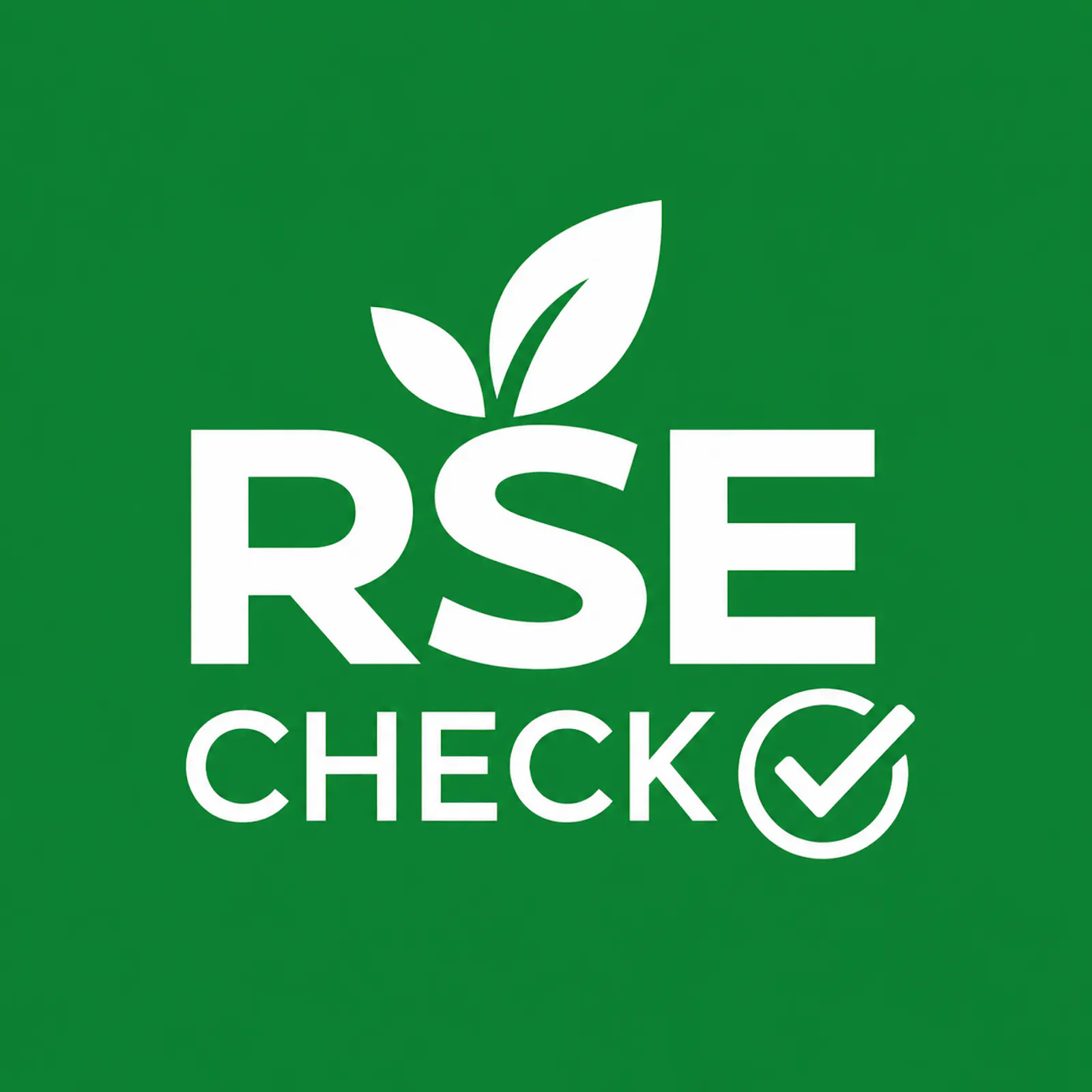 RSE check screenshot 2