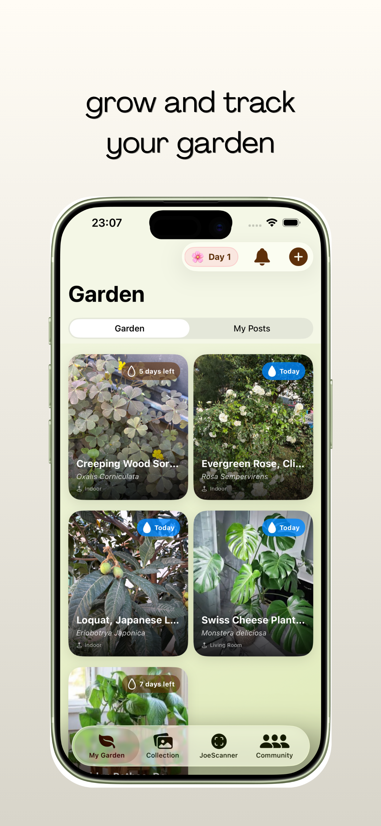 plantjoe - identify and take care plants gallery image