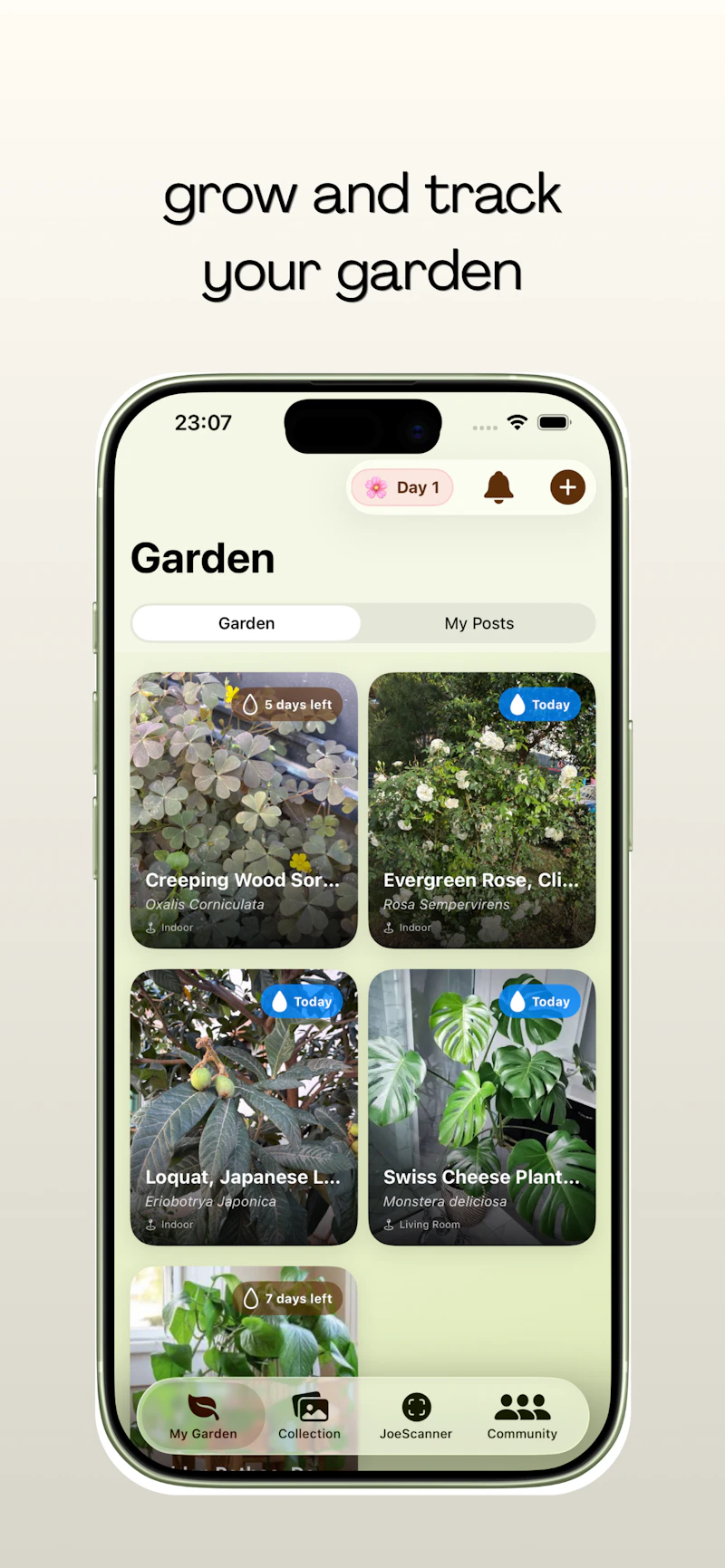 plantjoe - identify and take care plants screenshot 2