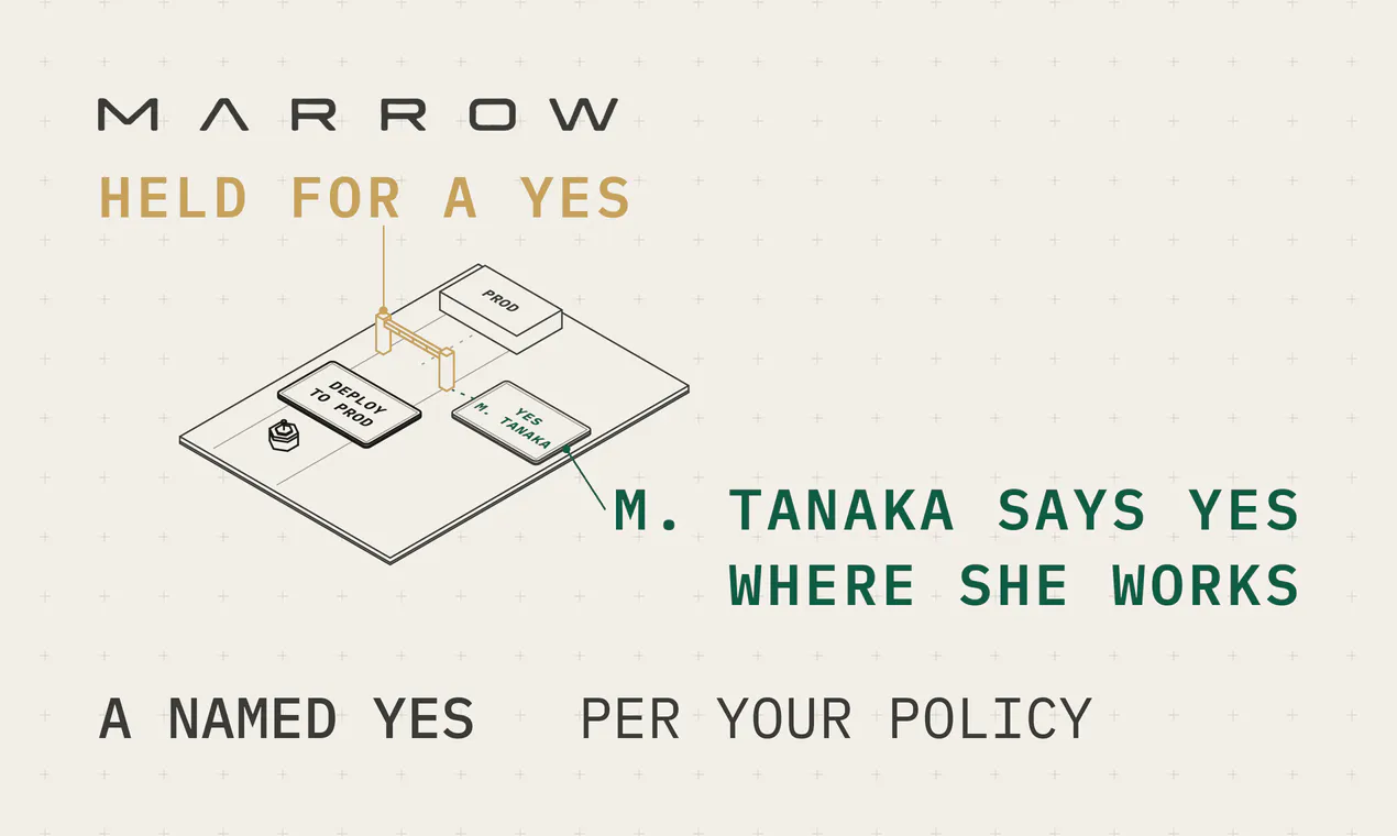 Marrow gallery image