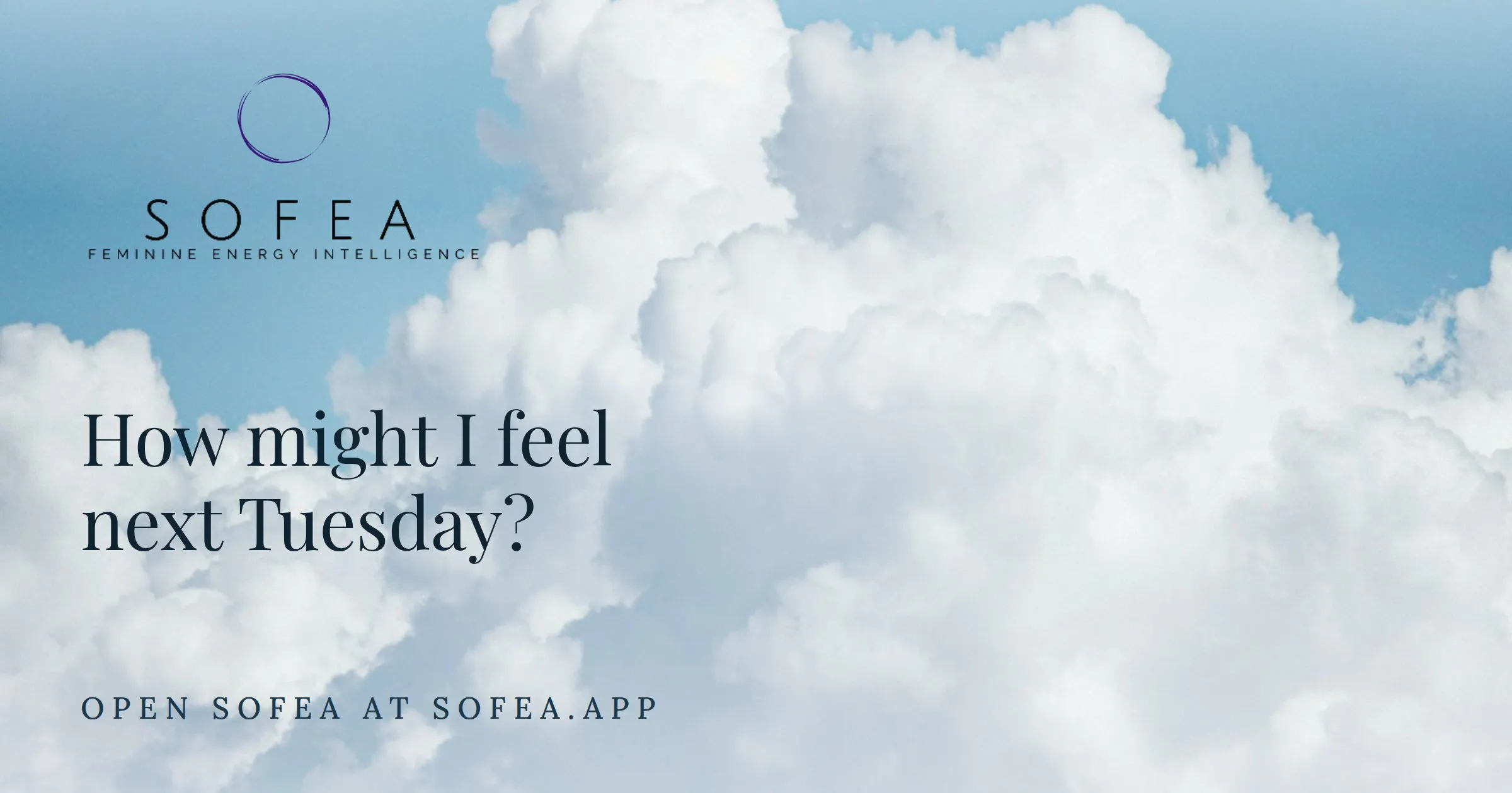 SOFEA gallery image