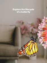 Butterfly Story gallery image