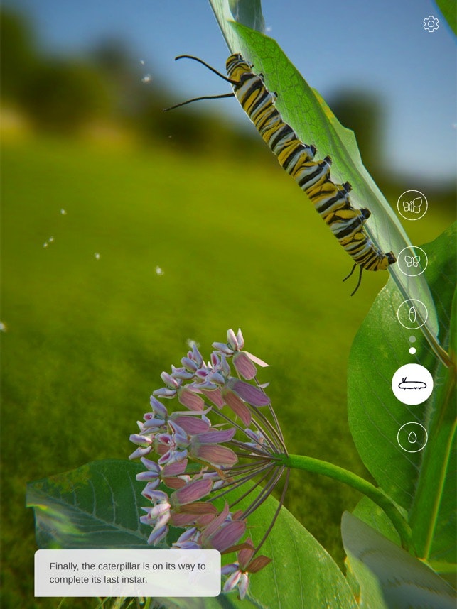 Butterfly Story gallery image