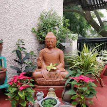 Garden Buddha statue gallery image