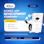 Mobile Application Development Company