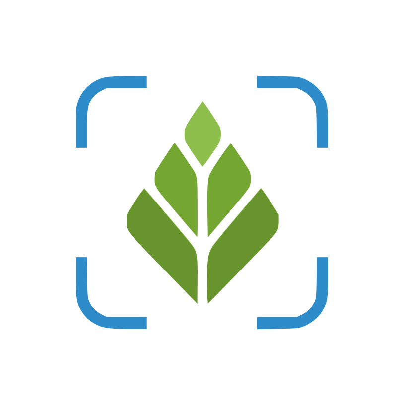 Yarışa qr