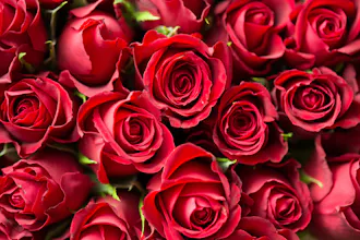 ABDO Florist gallery image