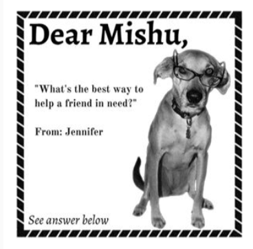 Dear Mishu gallery image