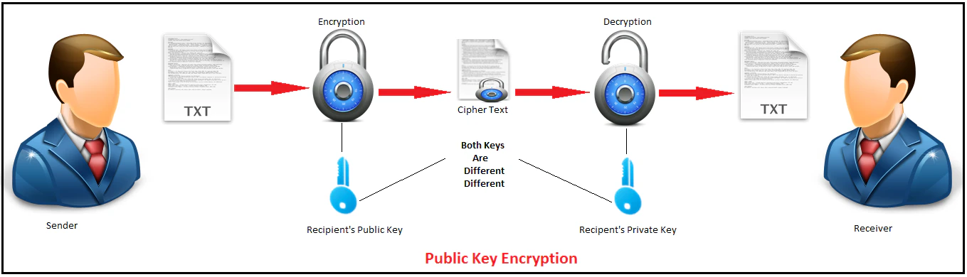RSA Encryption and Decryption