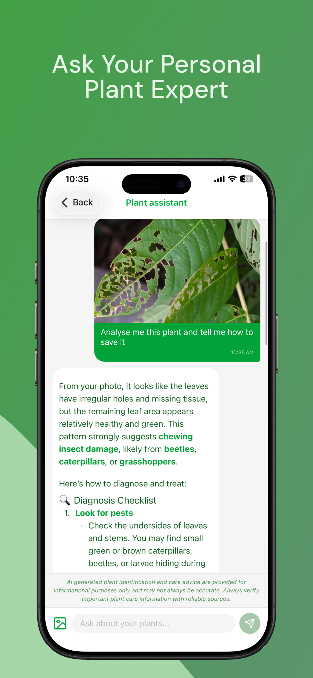 Virido gallery image