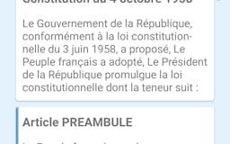 French Constitution media 1