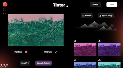 Tinter gallery image