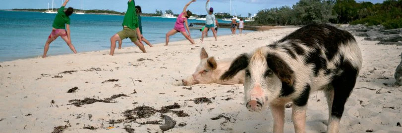 alyssa bereznak cover