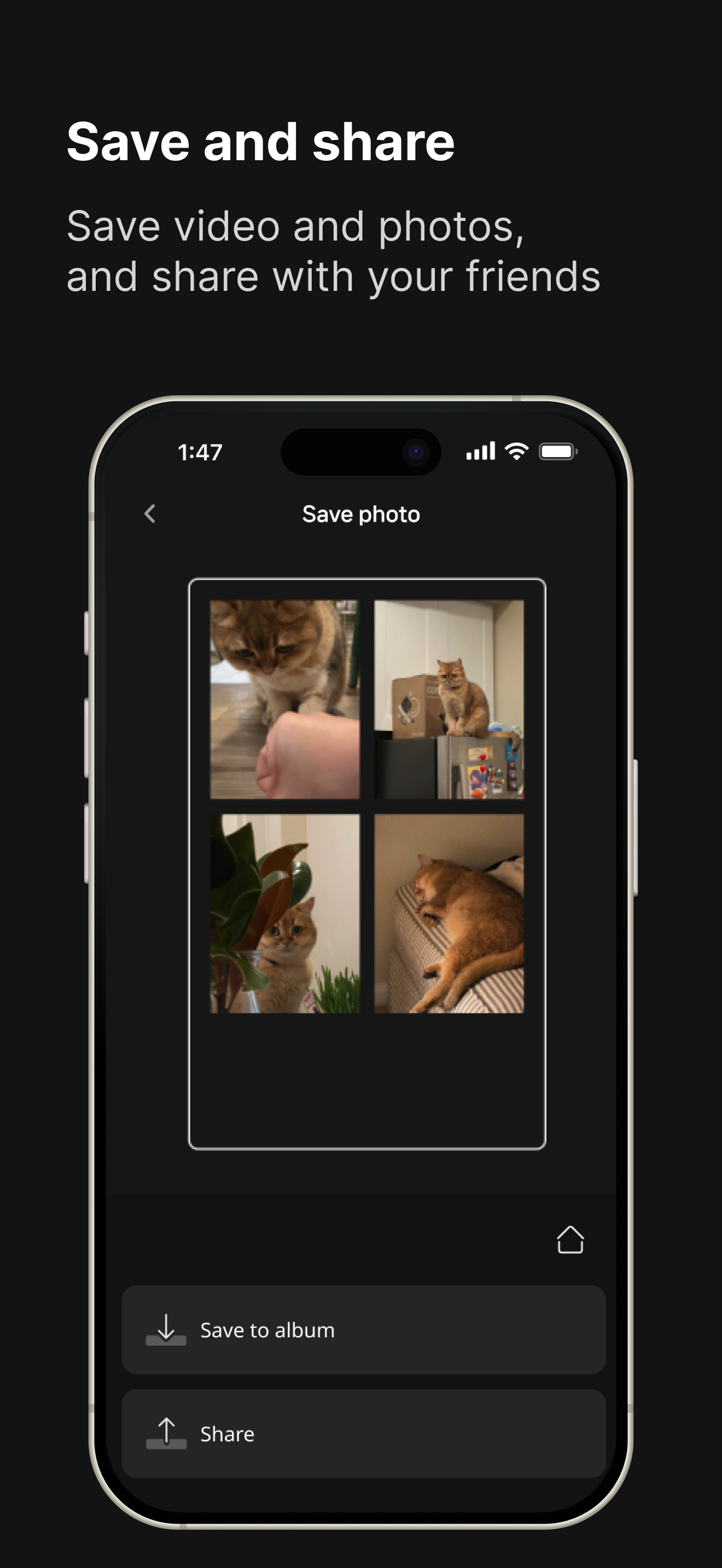 4CutLife gallery image