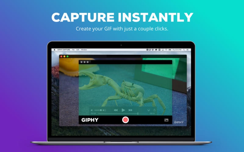 Giphy Cam Image