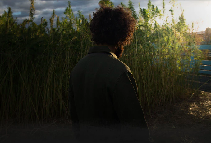 Luxurious Hemp Jacket (Kickstarter) gallery image