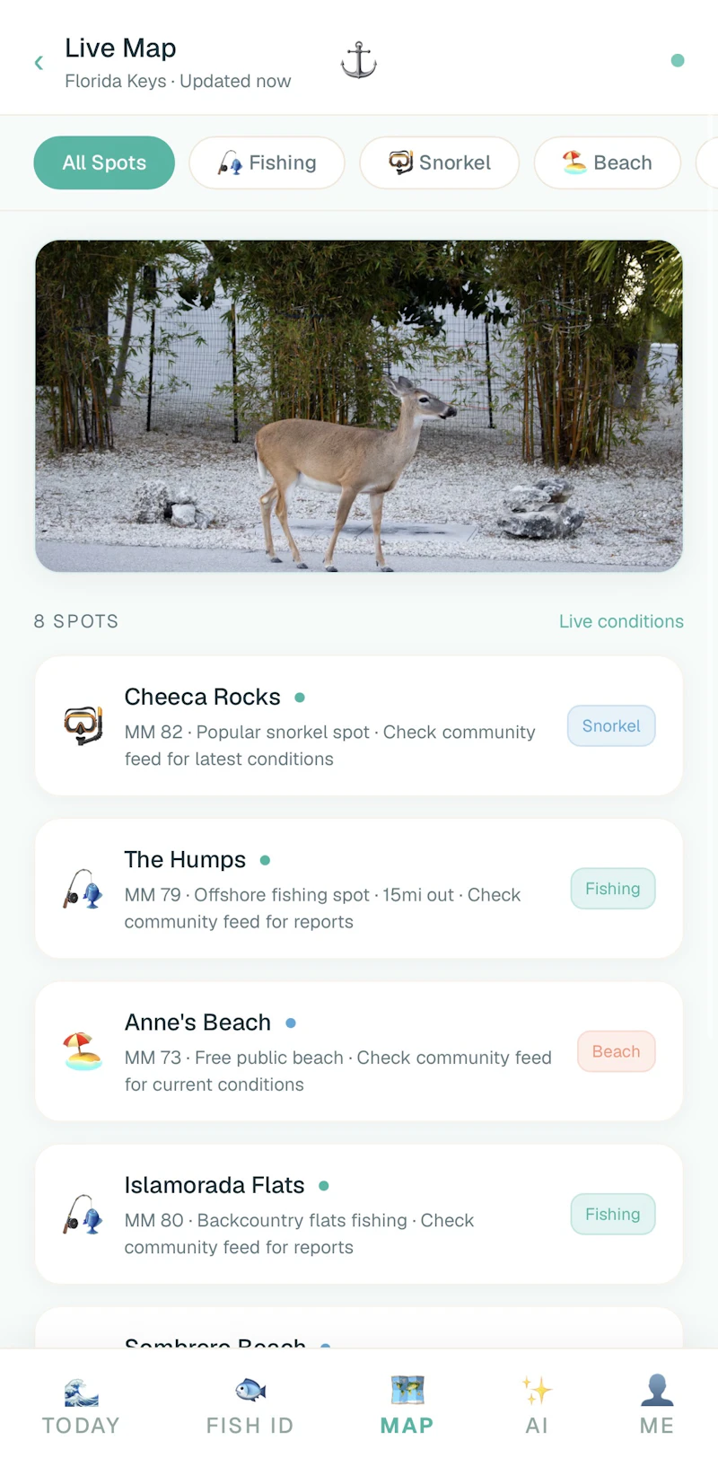 flkeys.app screenshot 2