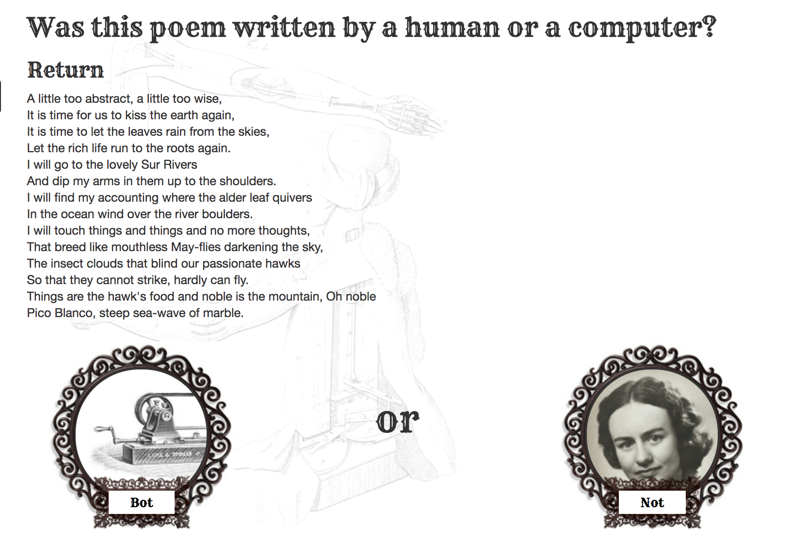 Bot or Not gallery image