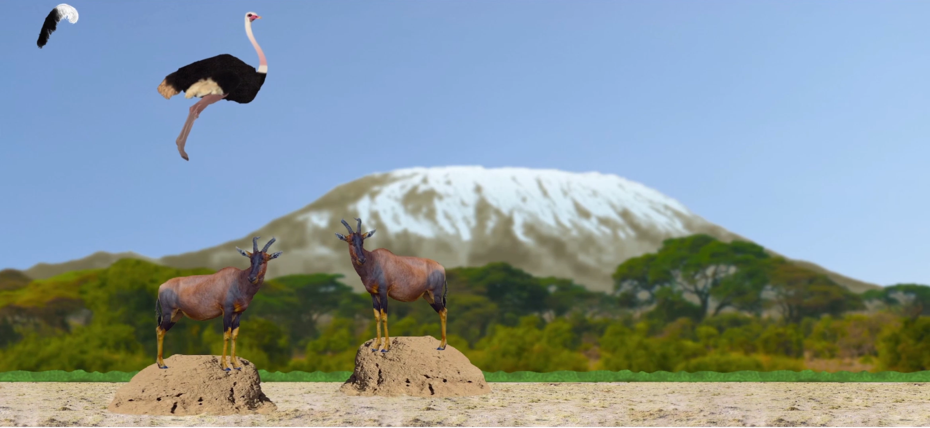 Ostrich - Screenshot 2 showing product features and functionality