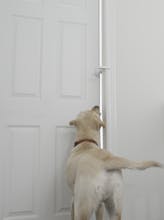 DOORWING Door Lock and Finger Guard gallery image