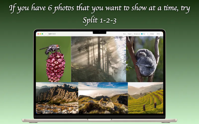Split 1-2-3 screenshot 5