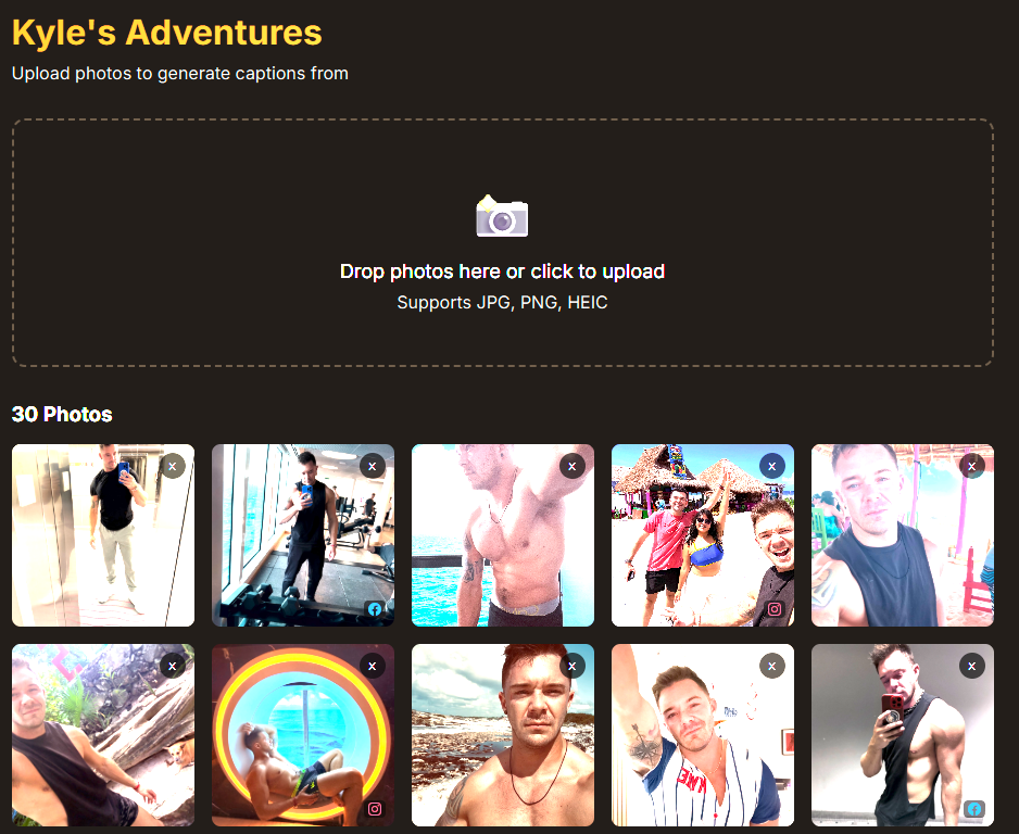 TheSocialFox gallery image