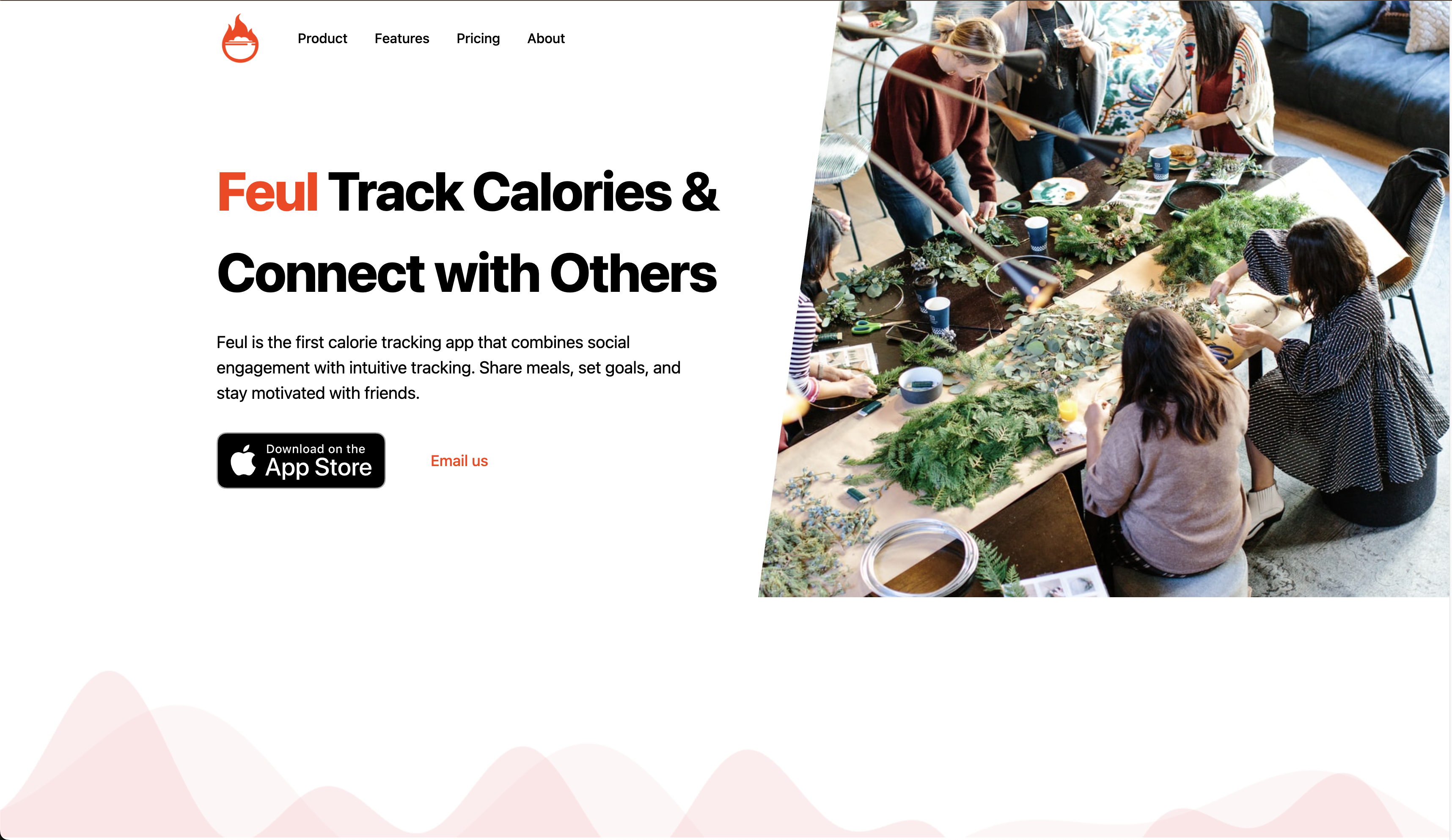 Média Fel - Tracker de calories sociales 1