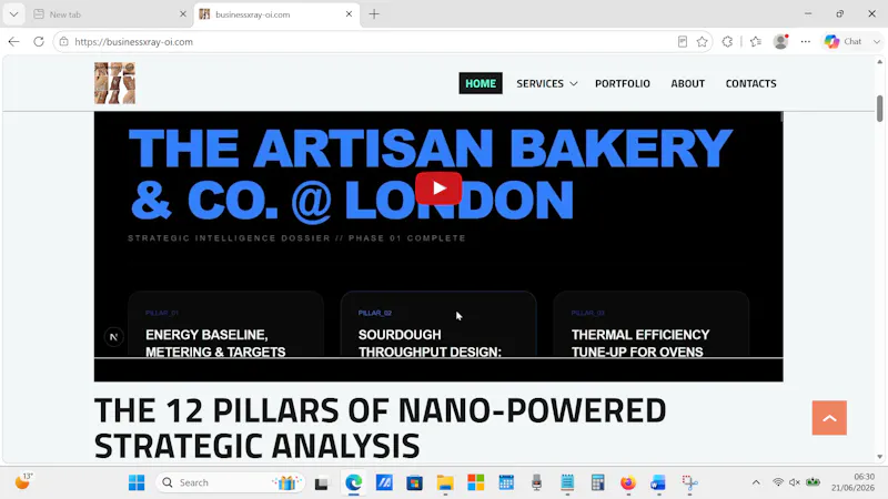 BusinessXray & AnimMatch Portfolio screenshot 5