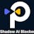 Shadow AI Blocker